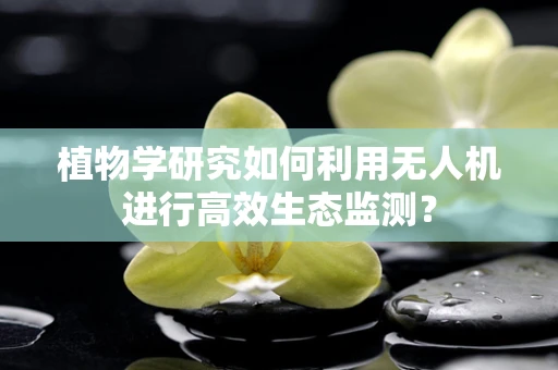 植物学研究如何利用无人机进行高效生态监测？