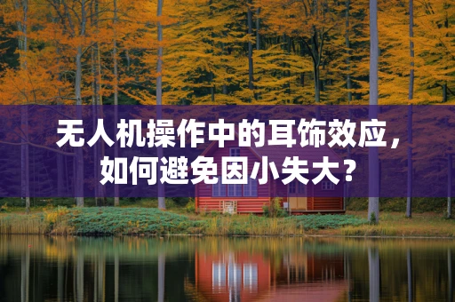 无人机操作中的耳饰效应，如何避免因小失大？
