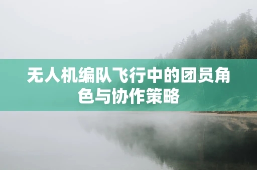 无人机编队飞行中的团员角色与协作策略