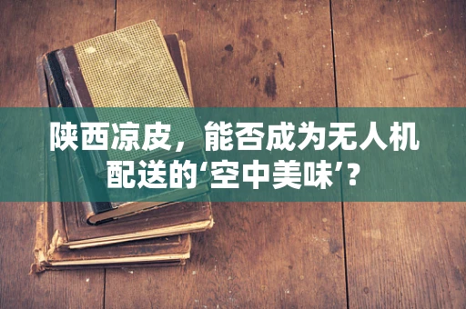 陕西凉皮，能否成为无人机配送的‘空中美味’？