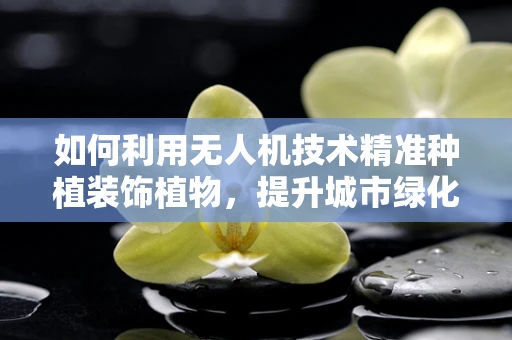 如何利用无人机技术精准种植装饰植物，提升城市绿化效率？