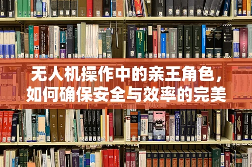 无人机操作中的亲王角色，如何确保安全与效率的完美平衡？
