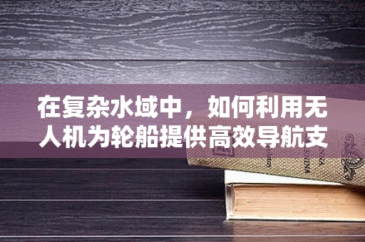 在复杂水域中，如何利用无人机为轮船提供高效导航支持？