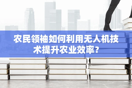 农民领袖如何利用无人机技术提升农业效率？