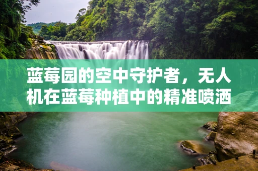 蓝莓园的空中守护者，无人机在蓝莓种植中的精准喷洒挑战