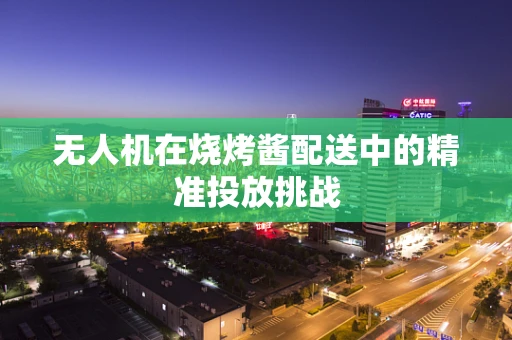 无人机在烧烤酱配送中的精准投放挑战