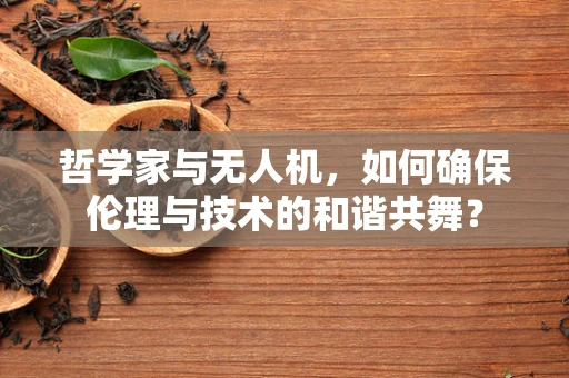 哲学家与无人机，如何确保伦理与技术的和谐共舞？