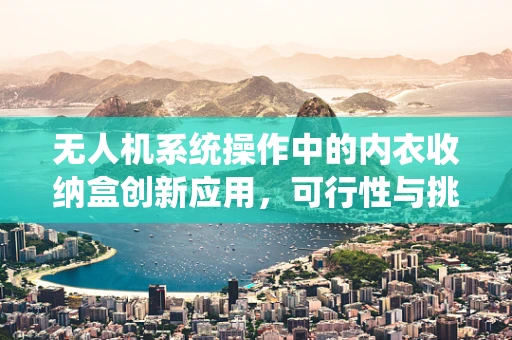 无人机系统操作中的内衣收纳盒创新应用，可行性与挑战？