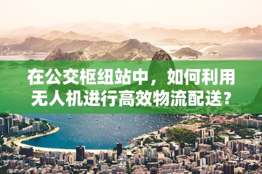 在公交枢纽站中，如何利用无人机进行高效物流配送？