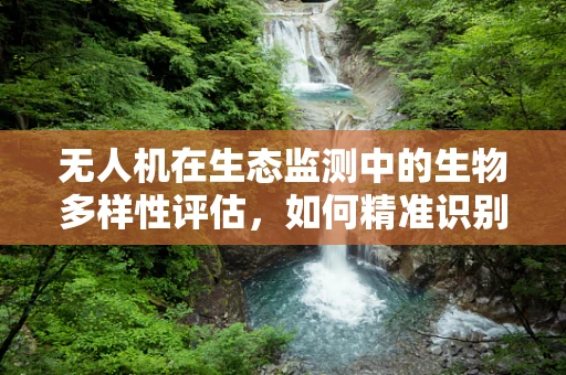无人机在生态监测中的生物多样性评估，如何精准识别与计数？