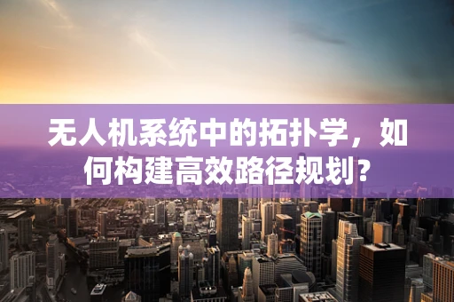 无人机系统中的拓扑学，如何构建高效路径规划？