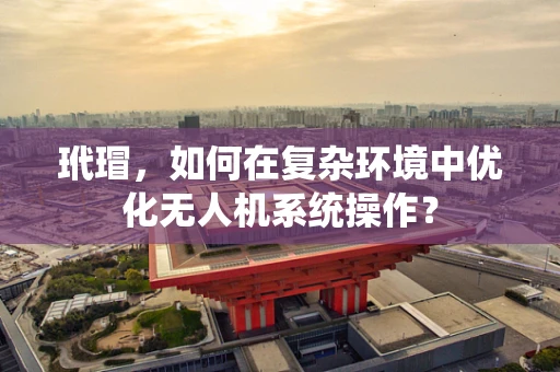 玳瑁，如何在复杂环境中优化无人机系统操作？