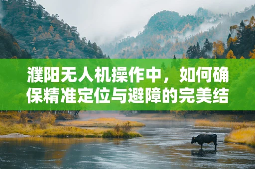 濮阳无人机操作中，如何确保精准定位与避障的完美结合？