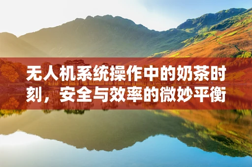 无人机系统操作中的奶茶时刻，安全与效率的微妙平衡