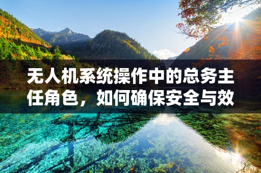 无人机系统操作中的总务主任角色，如何确保安全与效率的平衡？