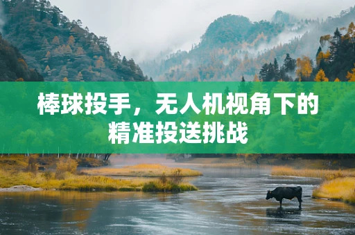 棒球投手，无人机视角下的精准投送挑战