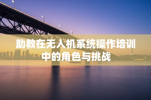助教在无人机系统操作培训中的角色与挑战