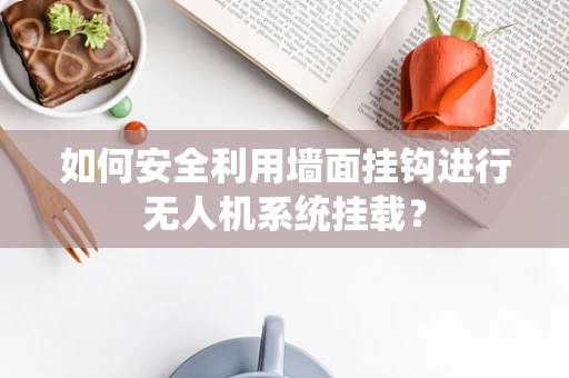 如何安全利用墙面挂钩进行无人机系统挂载？