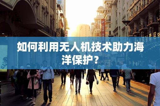 如何利用无人机技术助力海洋保护？
