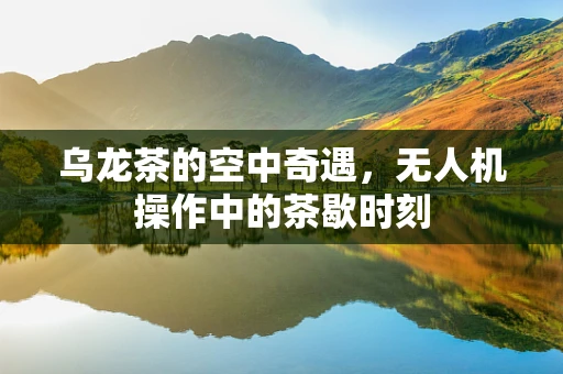 乌龙茶的空中奇遇，无人机操作中的茶歇时刻