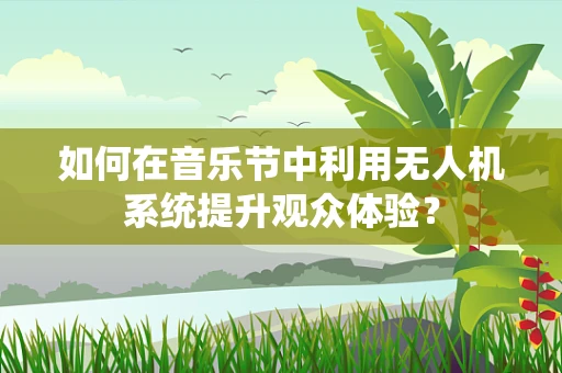 如何在音乐节中利用无人机系统提升观众体验？