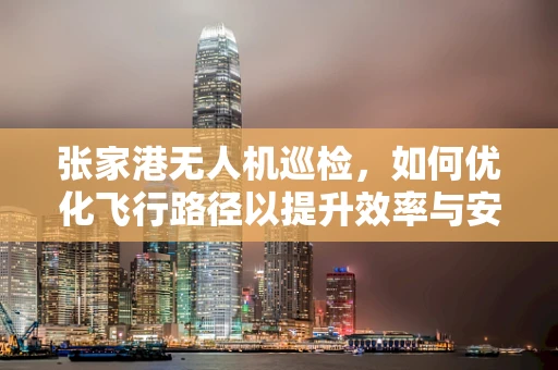 张家港无人机巡检，如何优化飞行路径以提升效率与安全性？