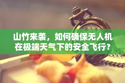 山竹来袭，如何确保无人机在极端天气下的安全飞行？