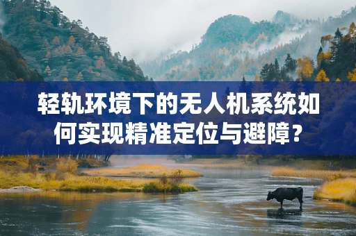 轻轨环境下的无人机系统如何实现精准定位与避障？