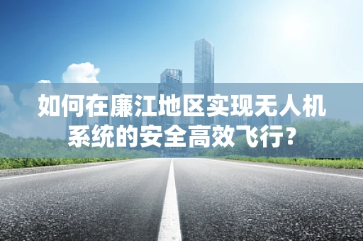 如何在廉江地区实现无人机系统的安全高效飞行？