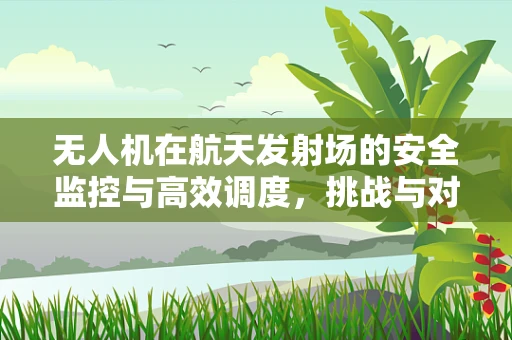 无人机在航天发射场的安全监控与高效调度，挑战与对策