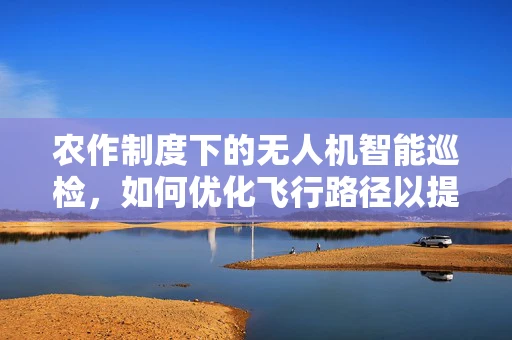 农作制度下的无人机智能巡检，如何优化飞行路径以提升作物监测效率？