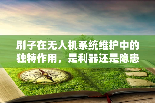 刷子在无人机系统维护中的独特作用，是利器还是隐患？