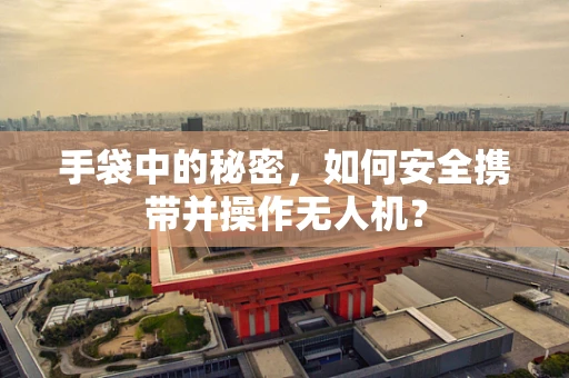 手袋中的秘密，如何安全携带并操作无人机？