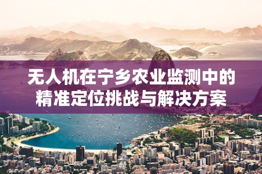 无人机在宁乡农业监测中的精准定位挑战与解决方案
