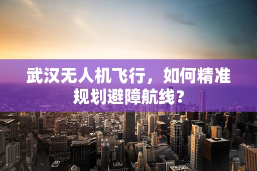 武汉无人机飞行，如何精准规划避障航线？