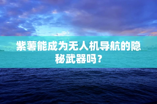 紫薯能成为无人机导航的隐秘武器吗？