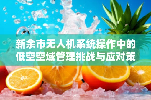 新余市无人机系统操作中的低空空域管理挑战与应对策略