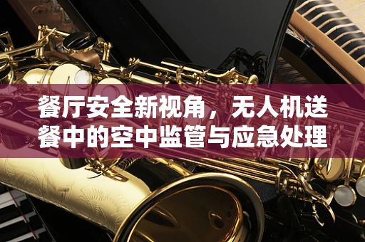 餐厅安全新视角，无人机送餐中的空中监管与应急处理