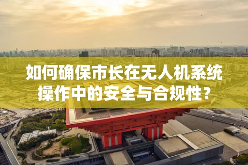 如何确保市长在无人机系统操作中的安全与合规性？