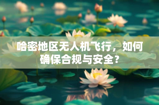 哈密地区无人机飞行，如何确保合规与安全？