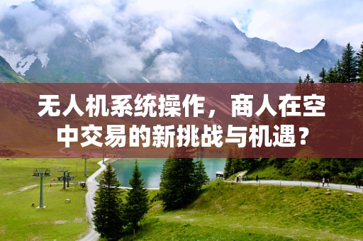 无人机系统操作，商人在空中交易的新挑战与机遇？