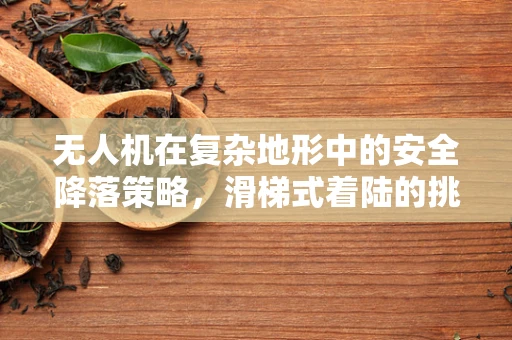 无人机在复杂地形中的安全降落策略，滑梯式着陆的挑战与解决方案
