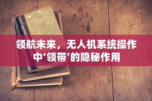 领航未来，无人机系统操作中‘领带’的隐秘作用