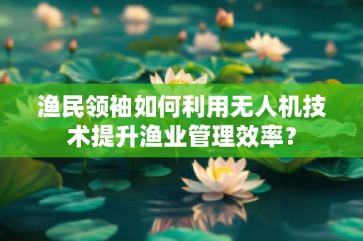 渔民领袖如何利用无人机技术提升渔业管理效率？