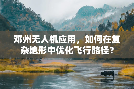 邓州无人机应用，如何在复杂地形中优化飞行路径？