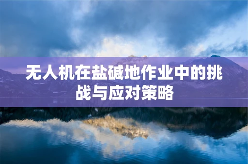 无人机在盐碱地作业中的挑战与应对策略