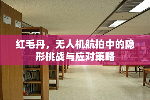 红毛丹，无人机航拍中的隐形挑战与应对策略
