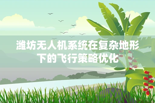 潍坊无人机系统在复杂地形下的飞行策略优化
