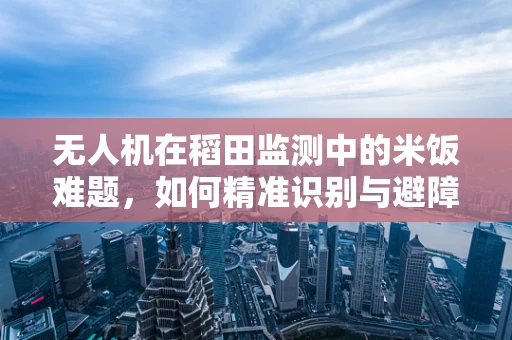 无人机在稻田监测中的米饭难题，如何精准识别与避障？