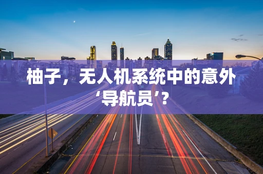 柚子，无人机系统中的意外‘导航员’？